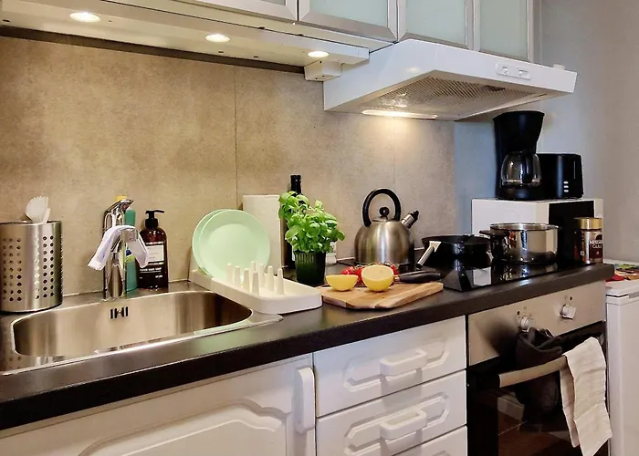 Historic Townhouse - 2 Baths 3 Floors 100 Percent Charm Vakantiehuis Bergen