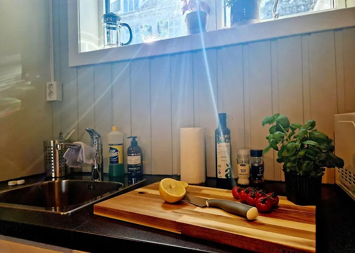 Historic Townhouse - 2 Baths 3 Floors 100 Percent Charm *